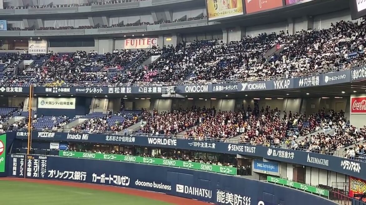 【応援歌】小郷裕哉　新応援歌