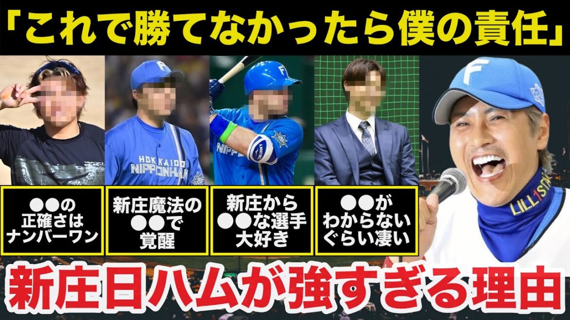 新庄監督「勝てなかったら僕の責任」2024新庄.日本ハムファイターズが強すぎる理由【プロ野球】
