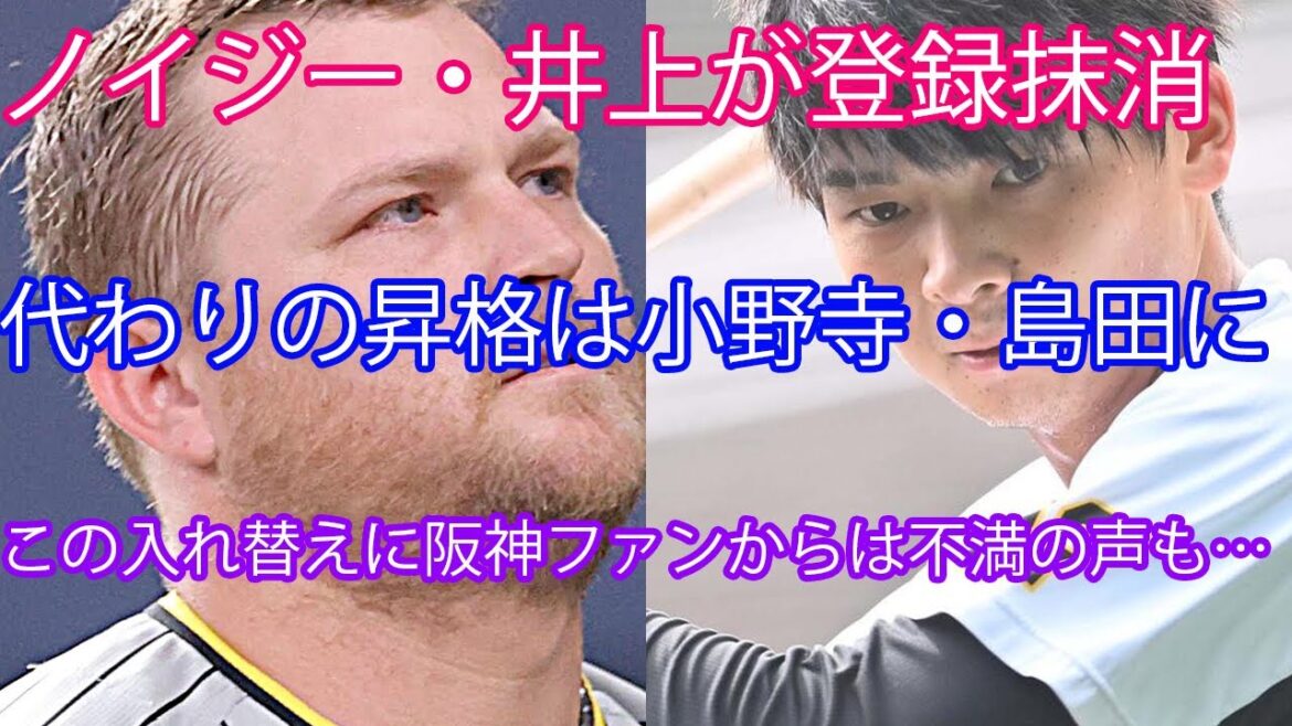 ノイジー・井上が登録抹消！代わりの昇格の小野寺・島田に阪神ファンから不満の声が出ている件【阪神タイガース】