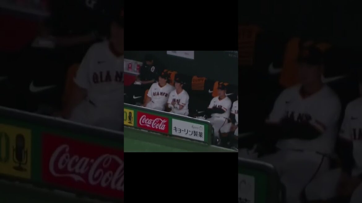 ベンチでめっちゃ楽しそうな小林誠司と重信慎之介（ 読売ジャイアンツ対 横浜DeNAベイスターズ2024年4月6日）