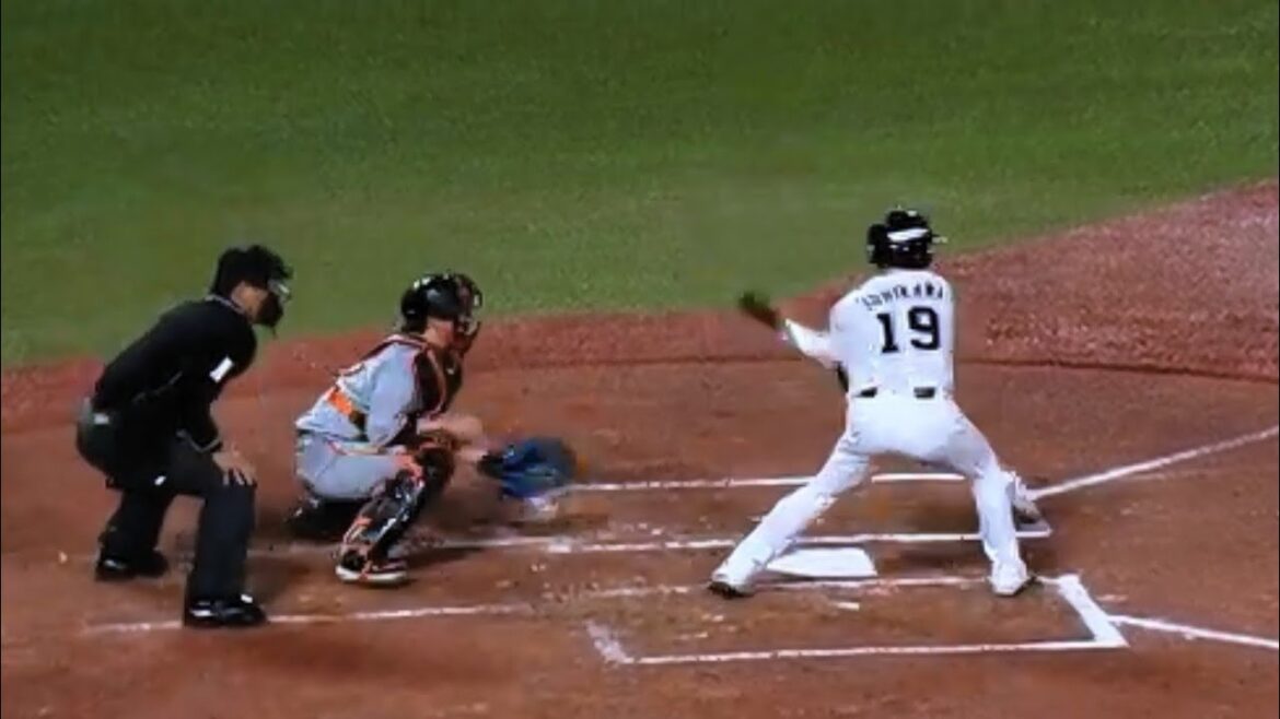 石川雅規 投手　低めのボール球を見極める