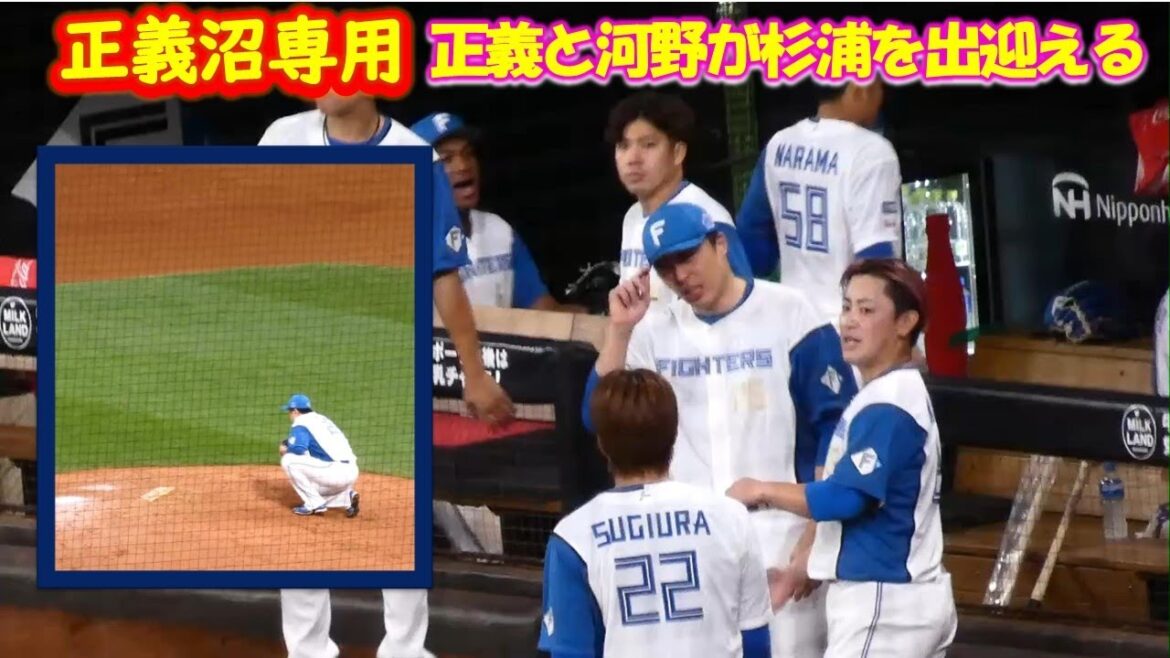 【20240531】正義沼専用　今日の正義・応援してるところも（ショッキングな場面もありますが）