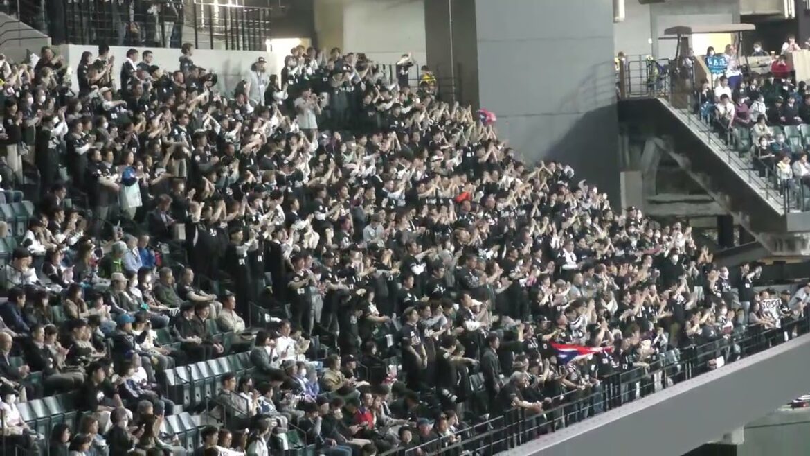 【日本最北端のネフタリ教】ネフタリ教（千葉ロッテマリーンズ・ソト応援歌）　エスコンフィールド