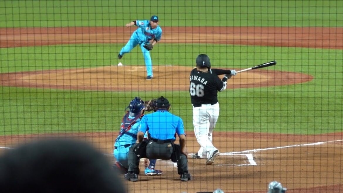 澤田圭佑の打席！全力スイングに一球一球歓声が上がる！千葉ロッテマリーンズ 2024/05/30