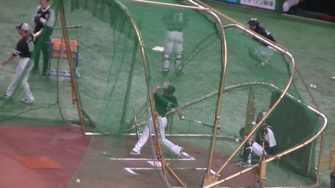 【ソフトバンク】近藤健介 フリーバッティング＜読売ジャイアンツ対 福岡ソフトバンクホークス2024年5月29日＞