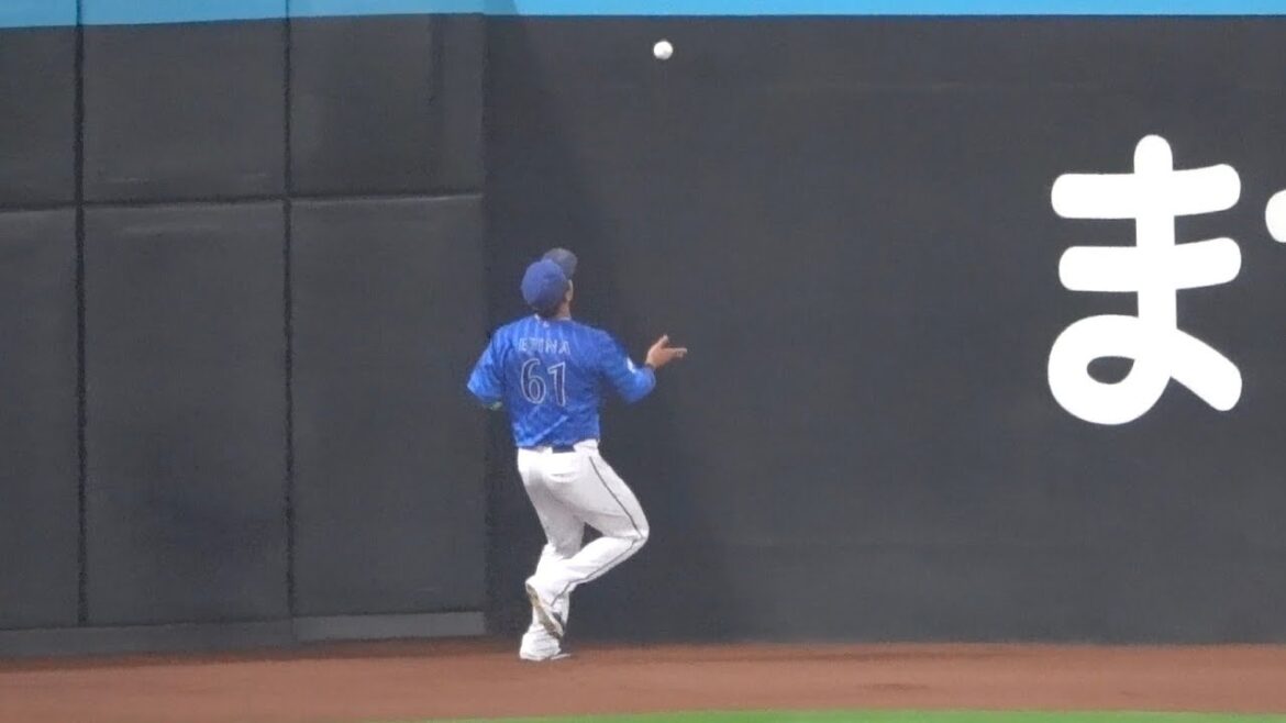 蝦名達夫が華麗に捕って華麗にボールをプレゼント！堅い守備！2024/05/31 横浜DeNAベイスターズ エスコン