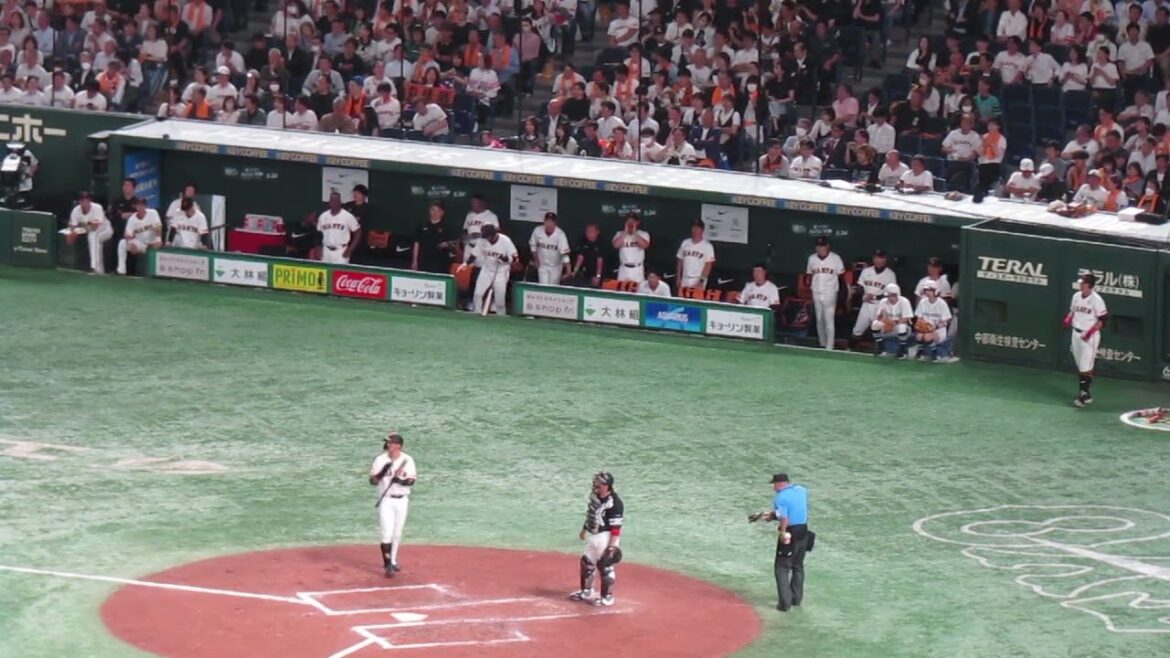 吉川尚輝セカンドゴロで立岡宗一郎が突っ込むアウトだった時の巨人ベンチの様子（読売ジャイアンツ対 福岡ソフトバンクホークス2024年5月28日）