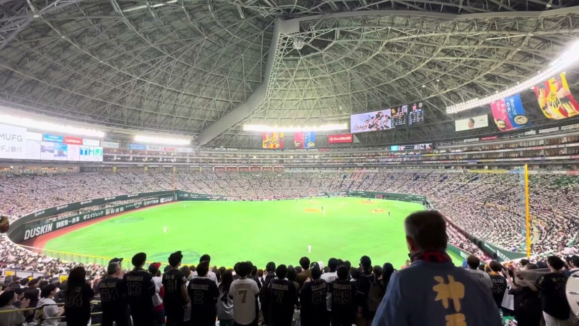 頓宮裕真 応援歌