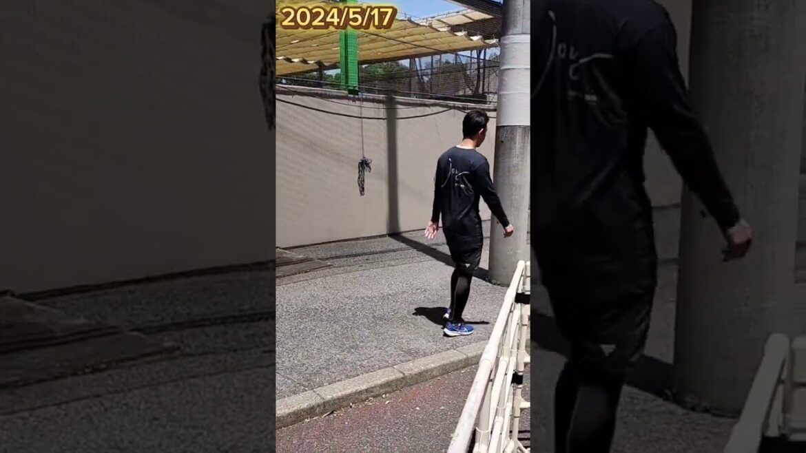 【FIGHTERS 5選手と1コーチ】 #清宮幸太郎 #柿木蓮 #五十幡亮汰 #阿部和広 #有薗直輝 #金子千尋 #shorts #プロ野球 #北海道日本ハムファイターズ #fighters