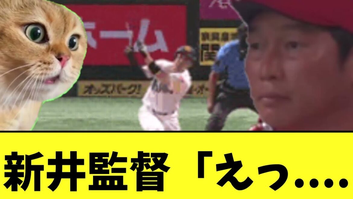 【悲報】今日の広島　なんかつらい負け方をして首位陥落　新井監督呆然