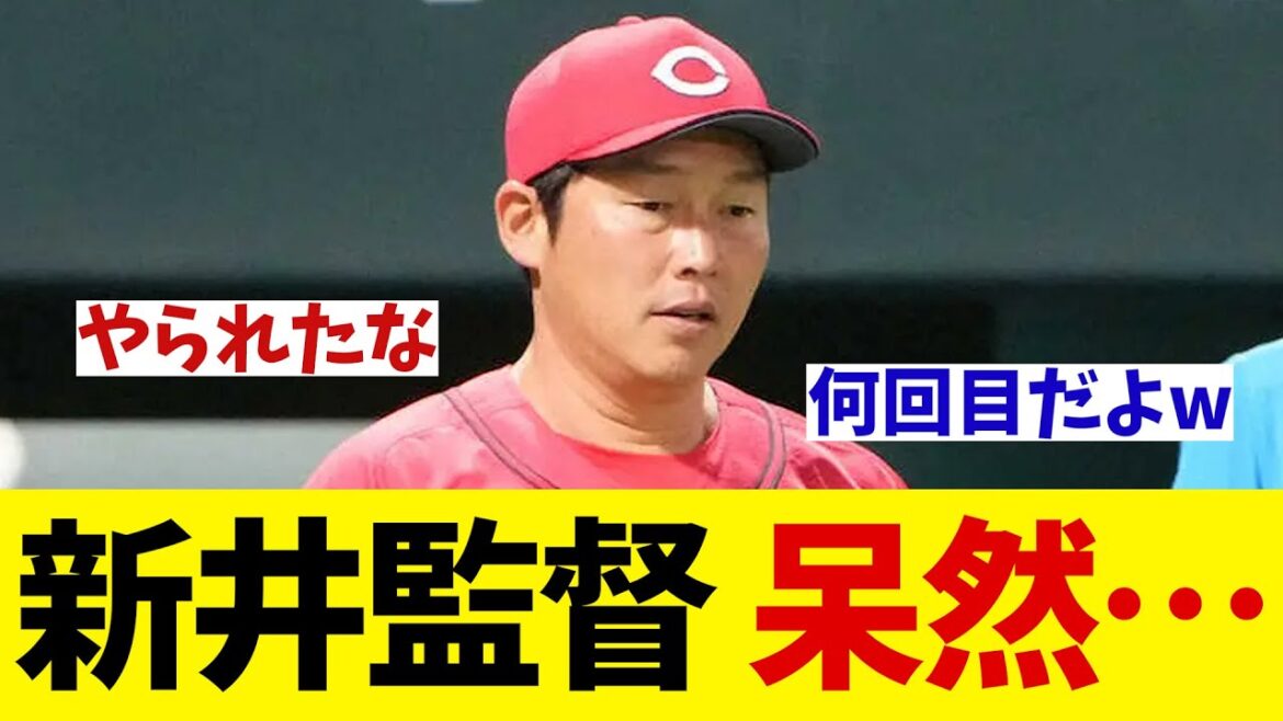広島カープ・新井監督　呆然・・・【野球情報】【2ch 5ch】【なんJ なんG反応】