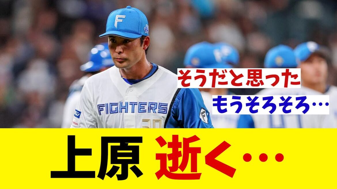 日本ハム・上原健太　逝く・・・【野球情報】【2ch 5ch】【なんJ なんG反応】