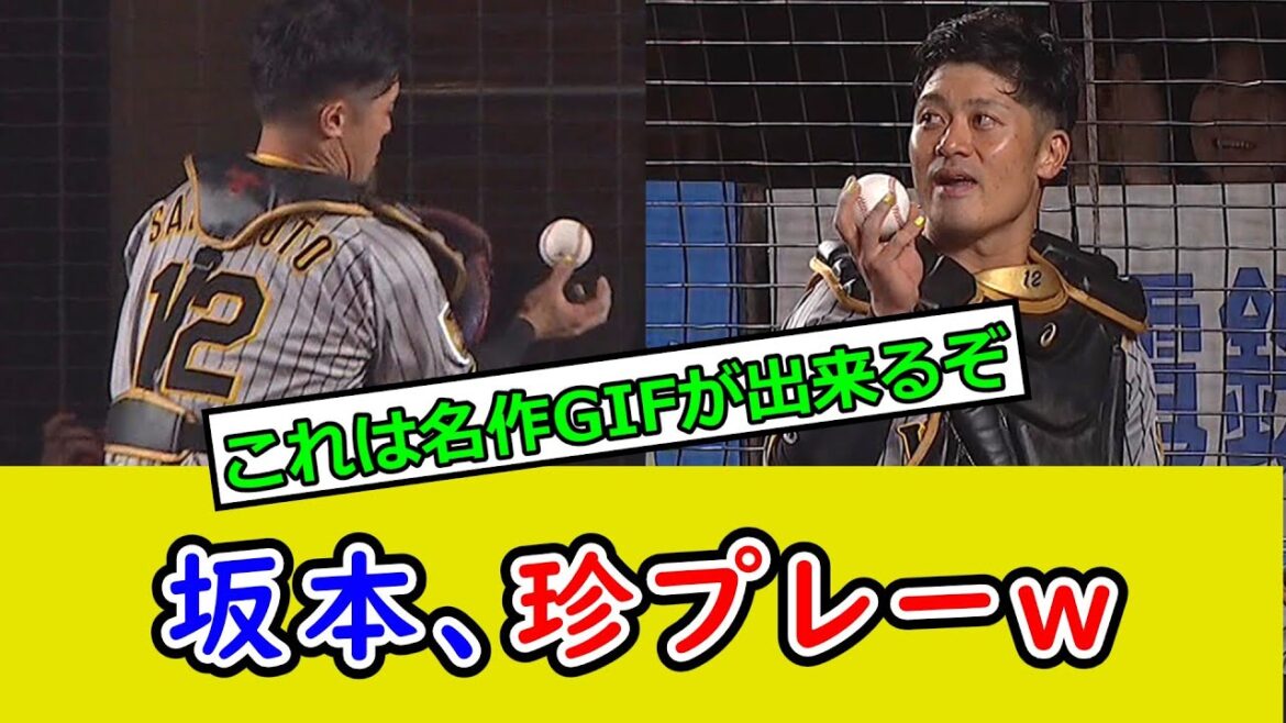 【珍プレー】 阪神・坂本、フライをお手玉 → フェンスに当ててファールにしてしまうｗ