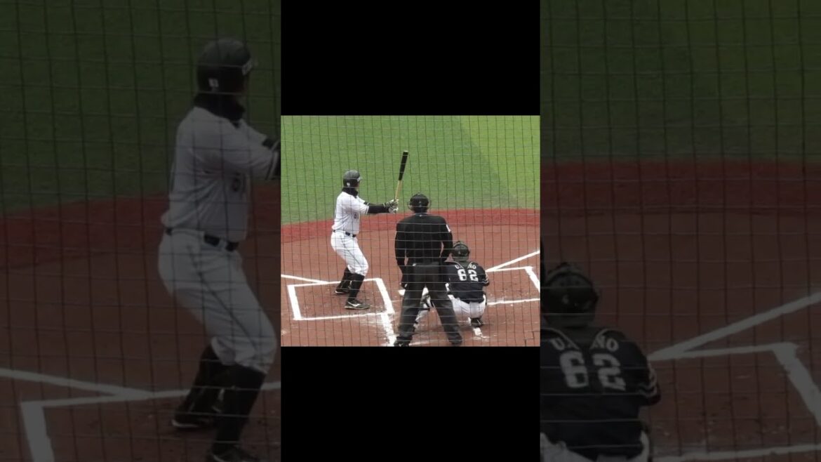 マリーンズ 山口航輝のバッティングフォーム千葉ロッテマリーンズ対ソフトバンクホークス2024年3月8日