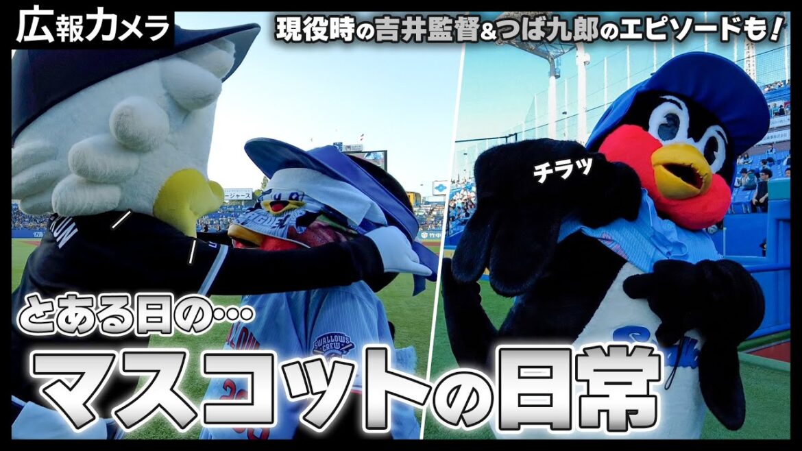 神宮でつば九郎にカメラが遭遇！【広報カメラ】