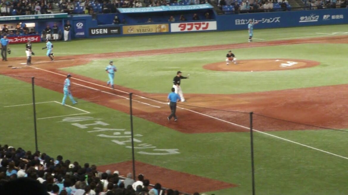 ヤクルト 西川遥輝 犠打で1点　ヤクルト vs ロッテ　2024年5月29日(水)