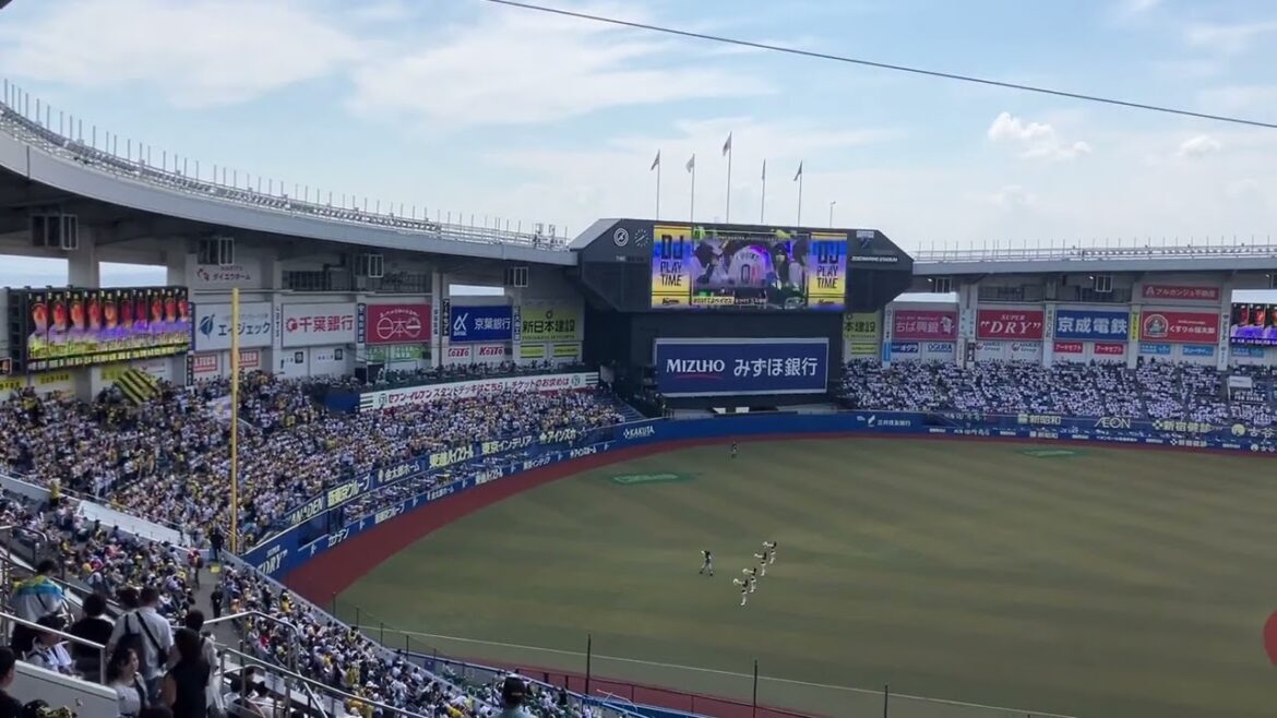 【4番近本】2024/6/1 阪神 1-9 応援歌