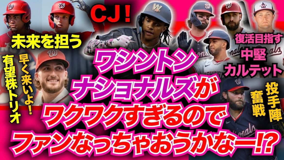 ナショナルズがワクワクすぎるのでファンになっちゃおうかなー！？勝手にしろ！ハイ！スミマセン！