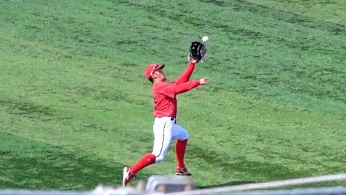 ファインプレー！矢野雅哉が突如出現する！ピンチを防ぐ好守備 広島東洋カープ 2024/05/26 ハイライト