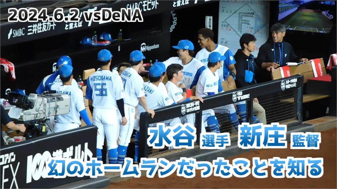 【日本ハム】幻のホームランだったことを知る水谷選手と新庄監督  ベンチの様子【2024年6月2日】