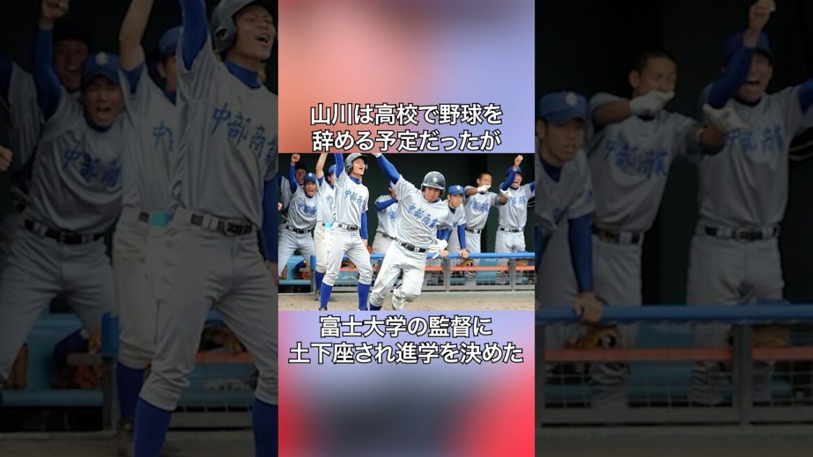 山川穂高に関する雑学