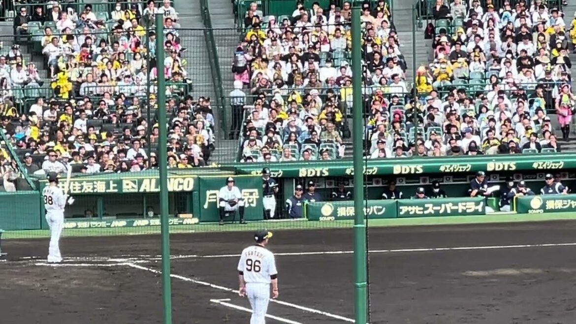 【スタメン一発回答打】 #阪神#小幡竜平 選手 タイムリーヒット 24.4.27. 🆚#東京　ヤクルトスワローズ 🏟#阪神甲子園球場