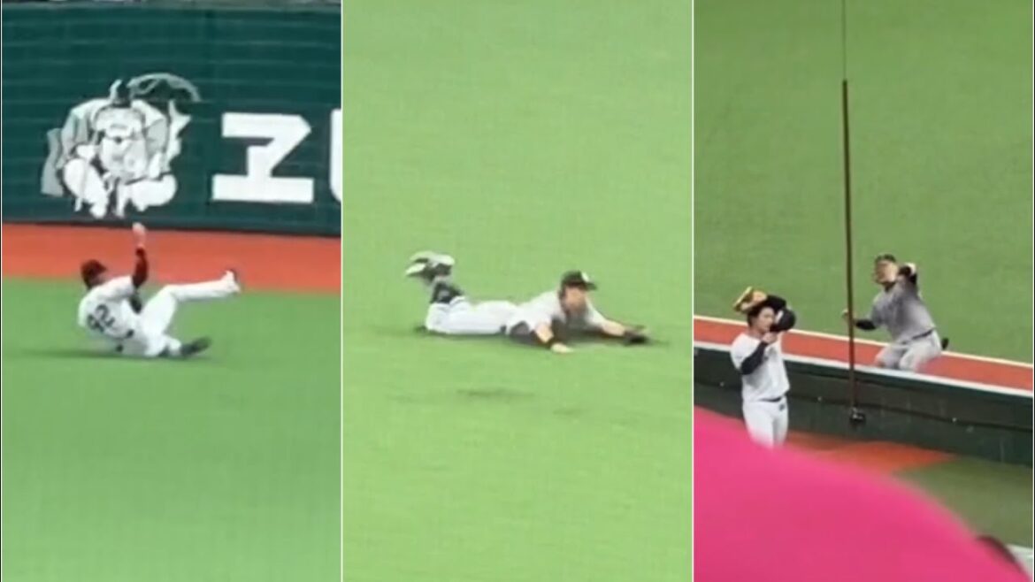 [ライト]エリエ・ヘルナンデスのスライディングキャッチと [センター]立岡宗一郎のダイビングキャッチと [レフト]丸佳浩のネット際キャッチ【西武vs巨人】2024/6/2 セパ交流戦6戦目