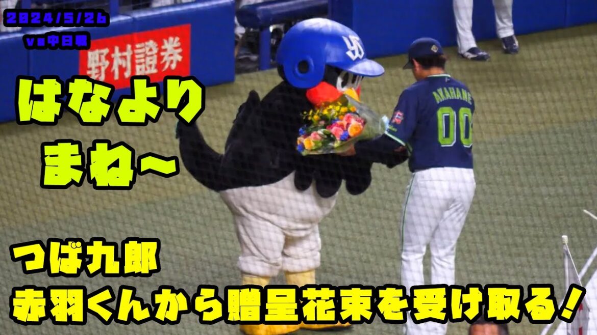 つば九郎 赤羽くんから花束を受け取る! 2024/5/26 vs中日 つば九郎 赤羽くんから花束を受け取る! 2024/5/26 vs中日