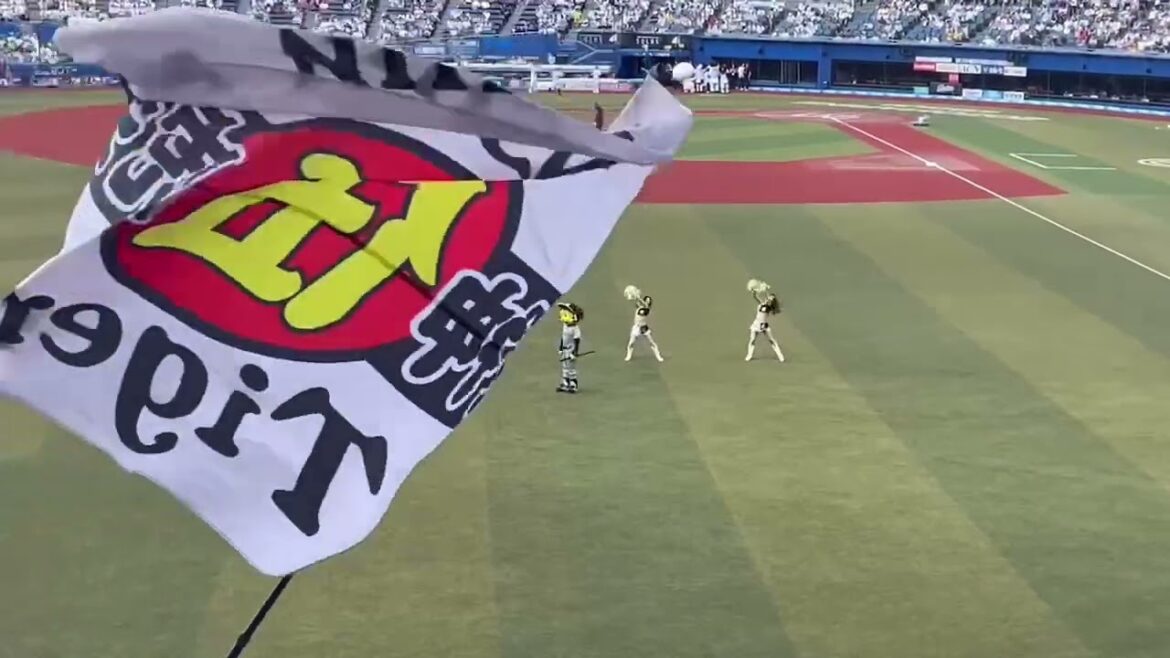 2024年6月1日 阪神タイガース 1-9