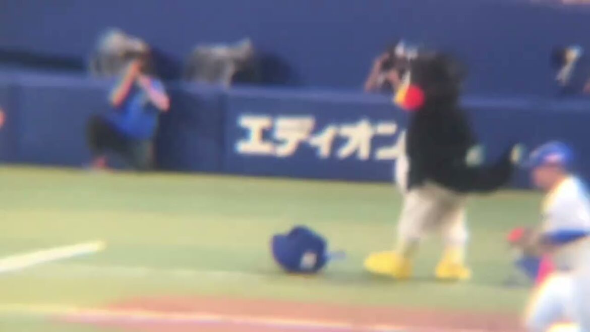 くるりんぱを失敗しリクエストを要求するつば九郎(2024/5/26) くるりんぱを失敗しリクエストを要求するつば九郎(2024/5/26)