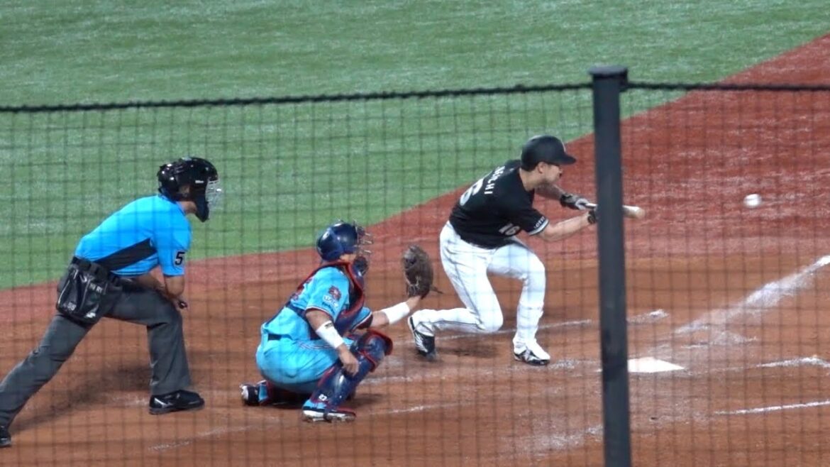 絶妙！種市篤暉バント成功！千葉ロッテマリーンズ 2024/05/29 交流戦