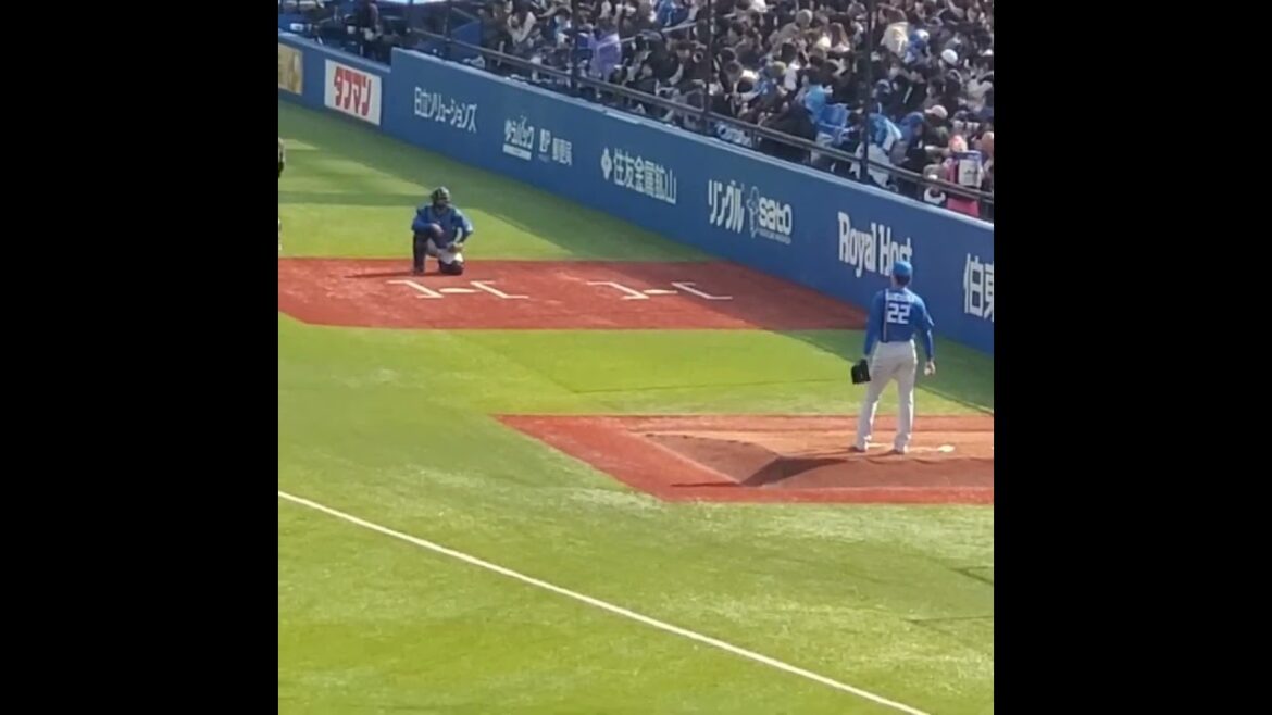 20240319　杉浦稔大　ブルペンで投球練習　#shorts@神宮球場･ﾚﾌﾄ外野 明治神宮野球場 ｵｰﾌﾟﾝ戦