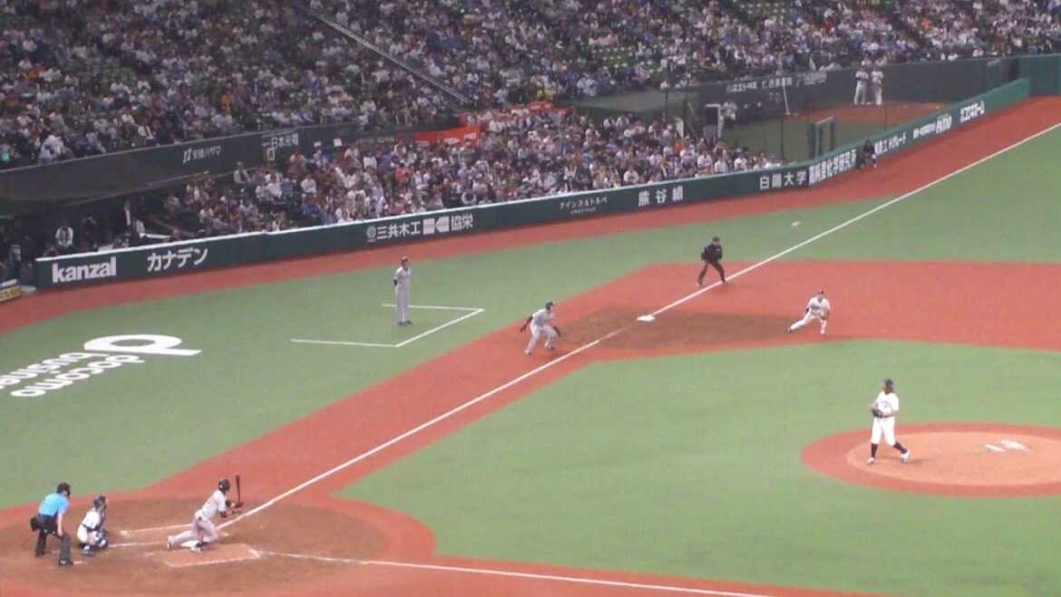 巨人 立岡宗一郎 タイムリーヒット　西武 vs 巨人　2024年5月31日(金)