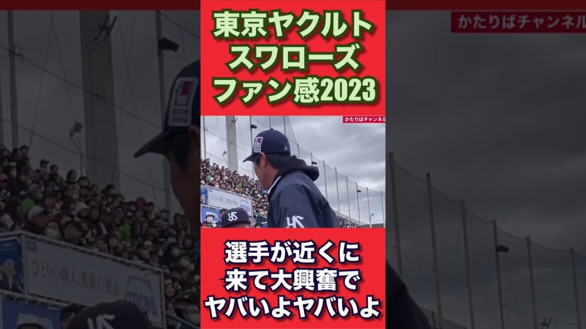 東京ヤクルトスワローズファン感2023後編 #swallows #ヤクルト #スワローズ #ファン感 #ファン感2023 #ヤクルトスワローズファン感 東京ヤクルトスワローズファン感2023後編 #swallows #ヤクルト #スワローズ #ファン感 #ファン感2023 #ヤクルトスワローズファン感