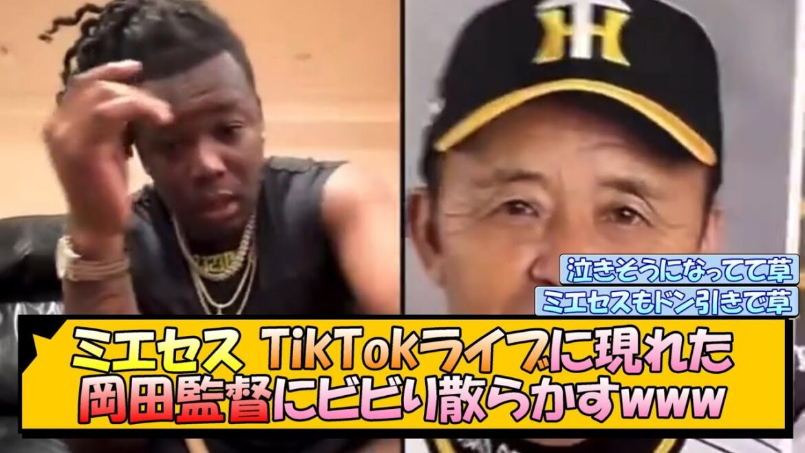 ミエセス TikTokライブに現れた岡田監督にビビり散らかすwww【なんJ/2ch/5ch/ネット 反応 まとめ/阪神タイガース/岡田監督】