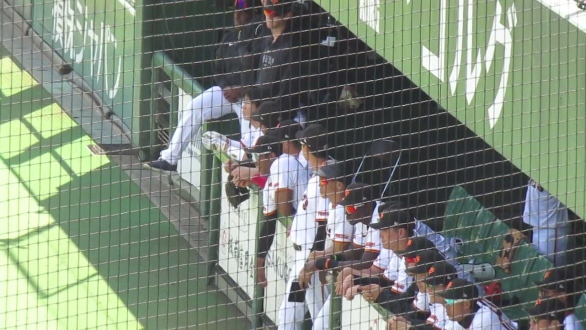 ジャイアンツベンチ直江大輔 身を乗り出して応援中（読売ジャイアンツ対 横浜DeNAベイスターズ2024年5月10日）