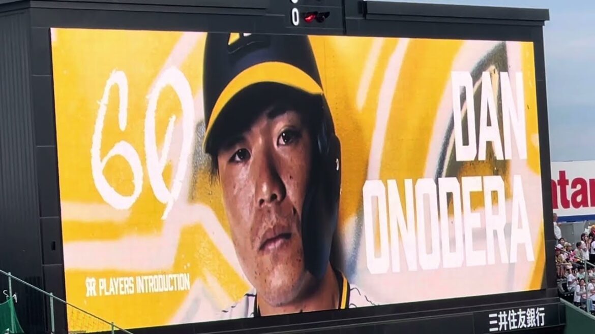 【久々スタメン】 #阪神 #小野寺暖 選手 登場曲〜応援歌 24.5.30.🆚#北海道　日本ハムファイターズ #交流戦  🏟#阪神甲子園球場