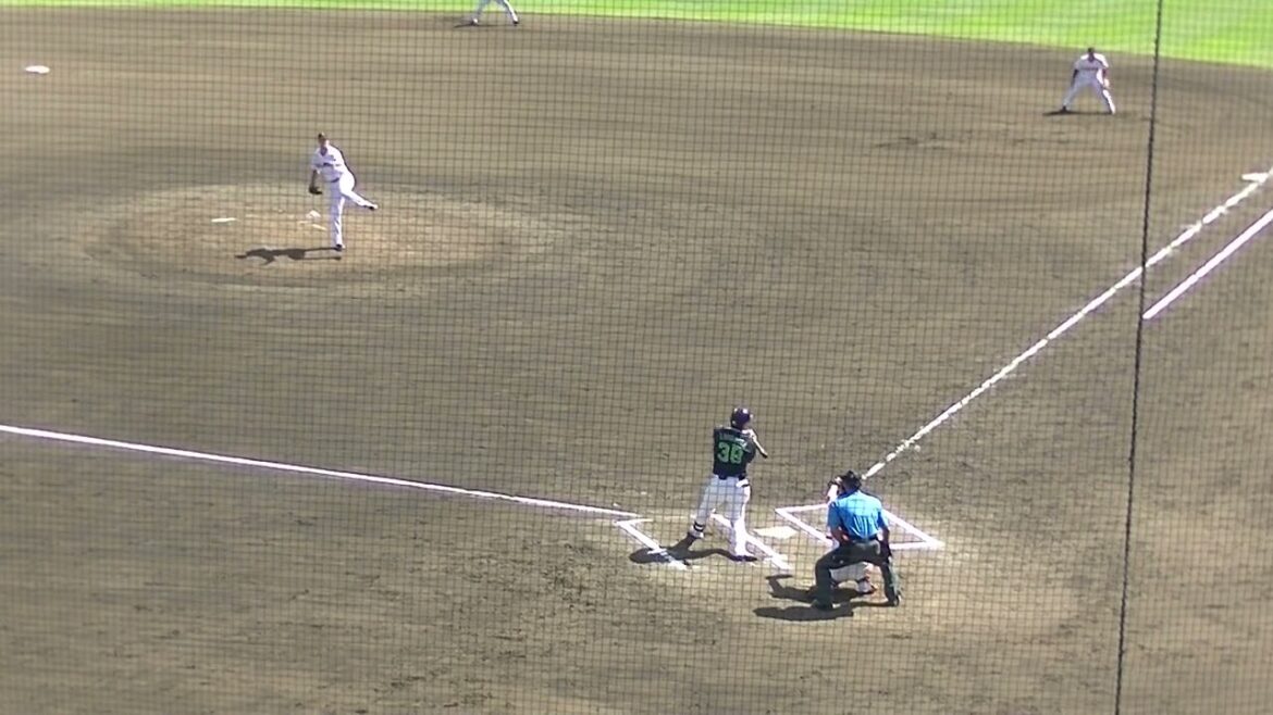 グリフィン 北村拓己を148キロストレートで三振（読売ジャイアンツ対 ヤクルトスワローズ2024年5月29日）