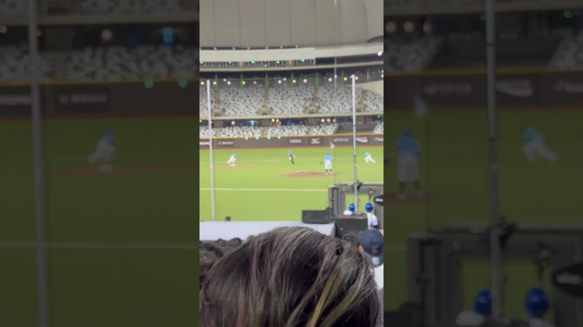 2024年5月26日 台北大巨蛋 台鋼雄鷹  王柏融安打富蘭戈