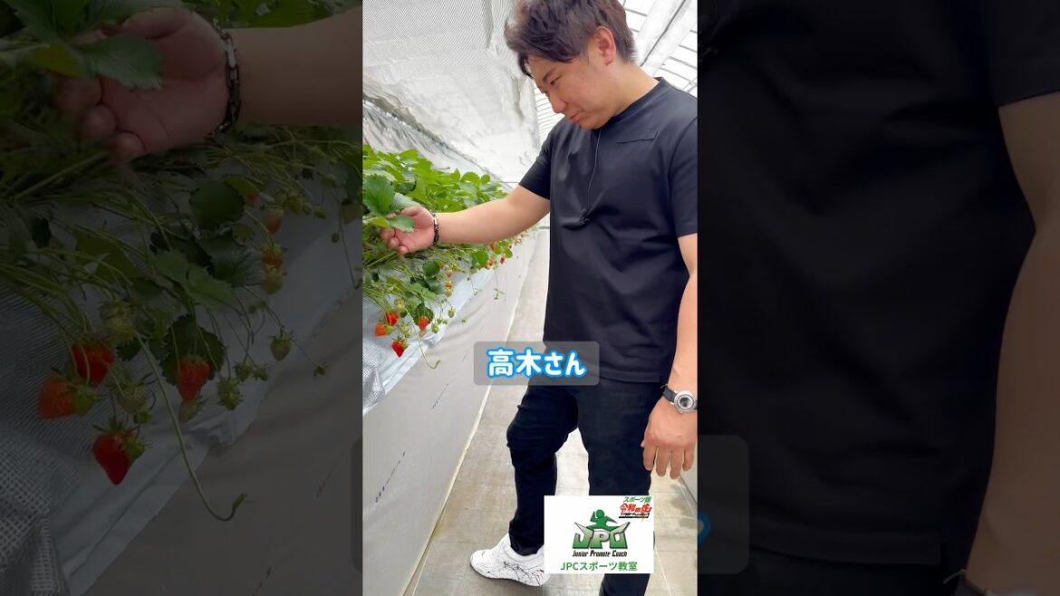 令和の虎スポーツ版　高木社長ご来園！