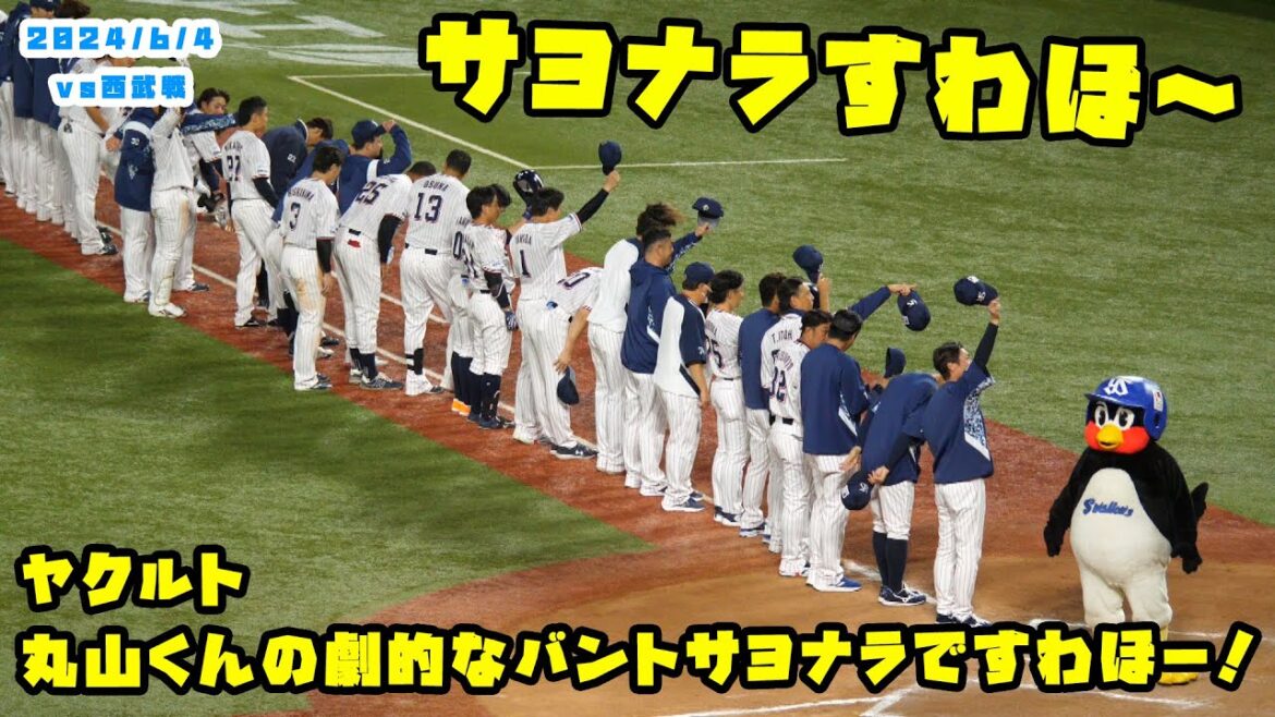 ヤクルト 丸山くんの劇的なバントサヨナラですわほー!! 2024/6/4 vs西武 ヤクルト 丸山くんの劇的なバントサヨナラですわほー!! 2024/6/4 vs西武