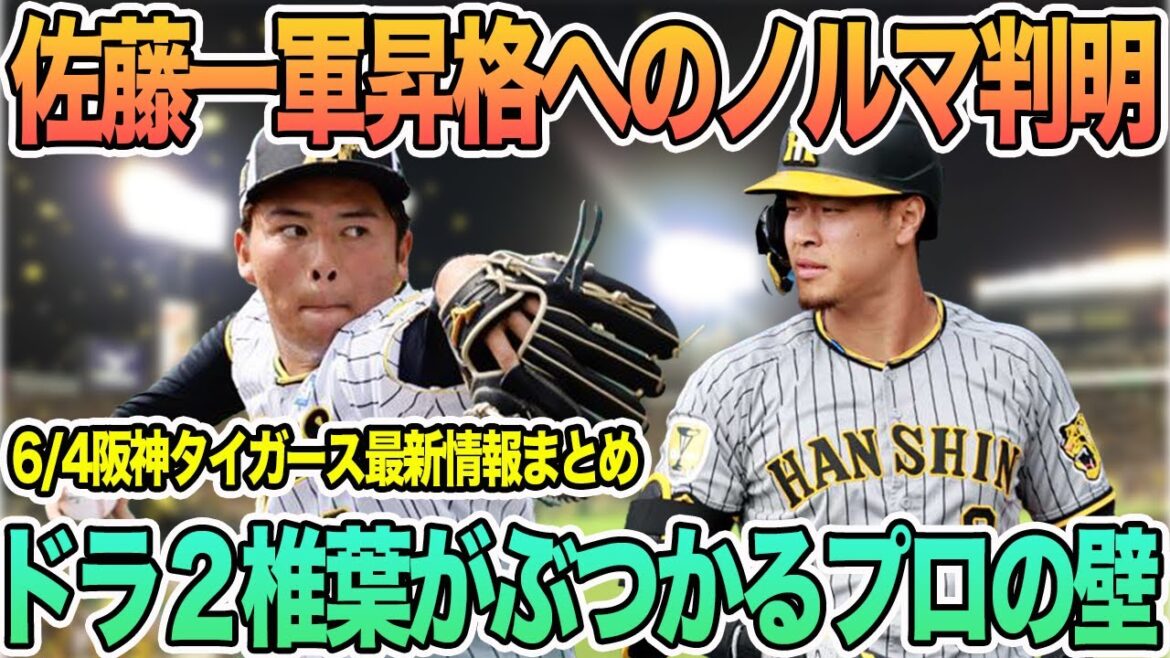 【岡田監督が明かした佐藤昇格のノルマ】ドラ2椎葉がぶつかるプロの壁 #阪神 #阪神タイガース #佐藤輝明 #椎葉 【岡田監督が明かした佐藤昇格のノルマ】ドラ2椎葉がぶつかるプロの壁 #阪神 #阪神タイガース #佐藤輝明 #椎葉