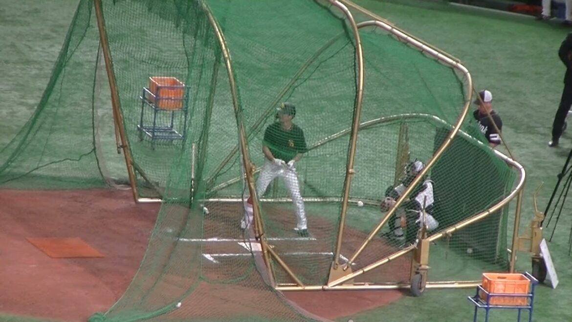 【ソフトバンク】緒方理貢のフリーバッティング＜読売ジャイアンツ対 福岡ソフトバンクホークス2024年5月28日＞