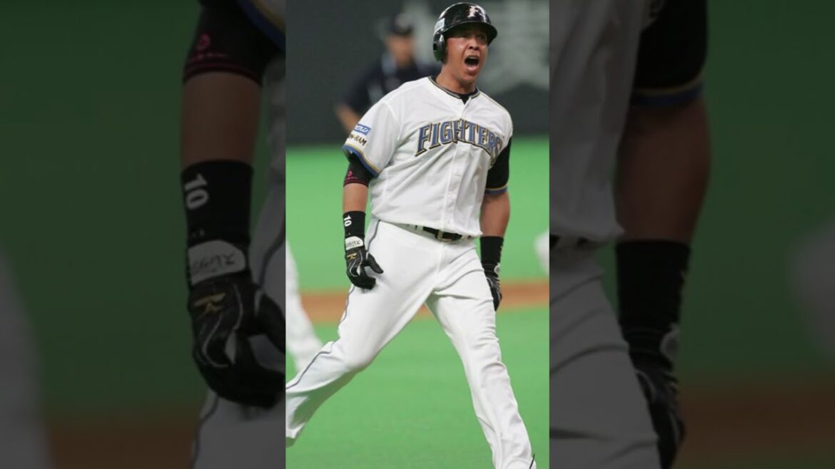 【タイムスリップシリーズ①】過去の５月２日の試合へ#日ハム#ファイターズ#北海道日本ハムファイターズ#ヒルマン#梨田昌孝#栗山英樹#新庄剛志