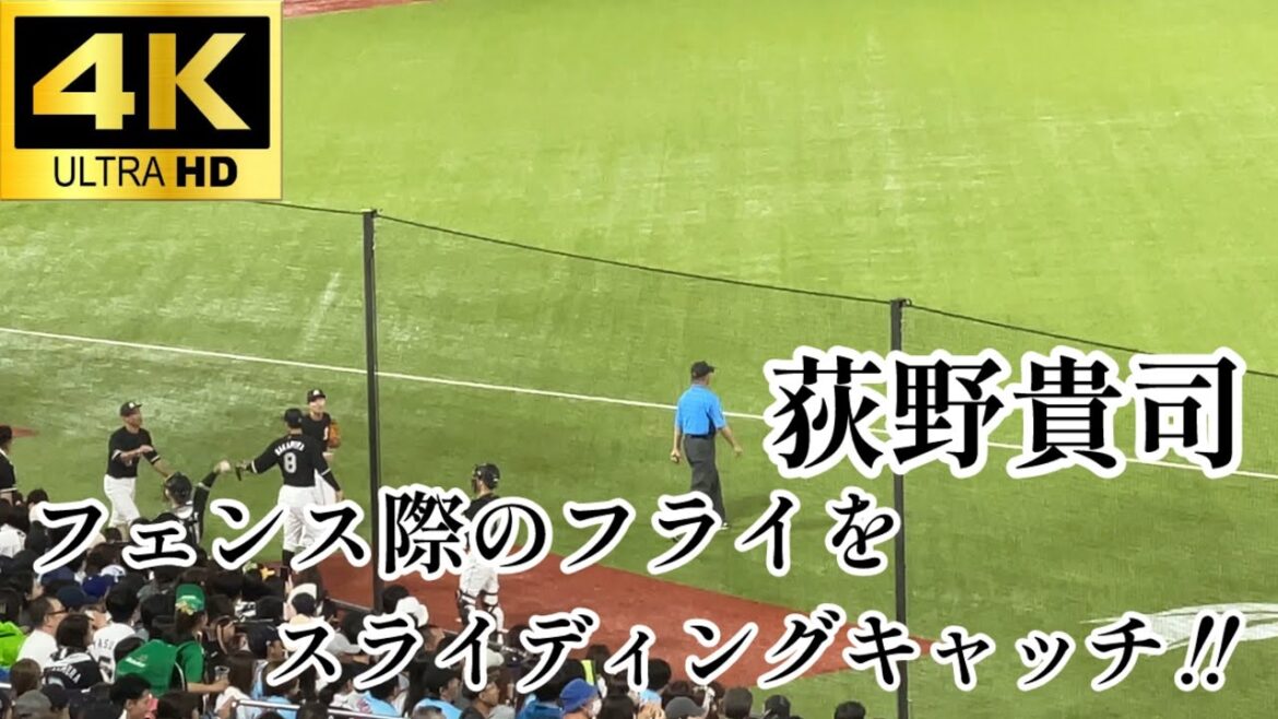 【流石のひとこと】荻野貴司 フェンスギリギリのフライをスライディングキャッチ‼︎ 千葉ロッテマリーンズ 東京ヤクルトスワローズ プロ野球 2024.5/30