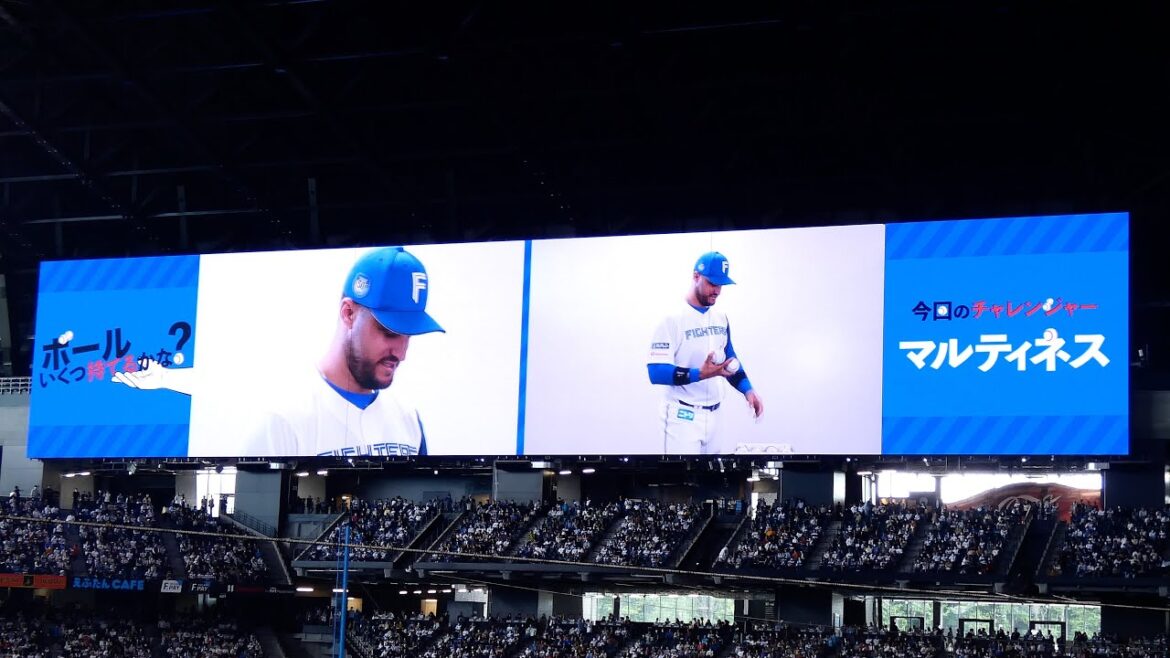 【20240602】マルティネス　ボール何個持てるかな？