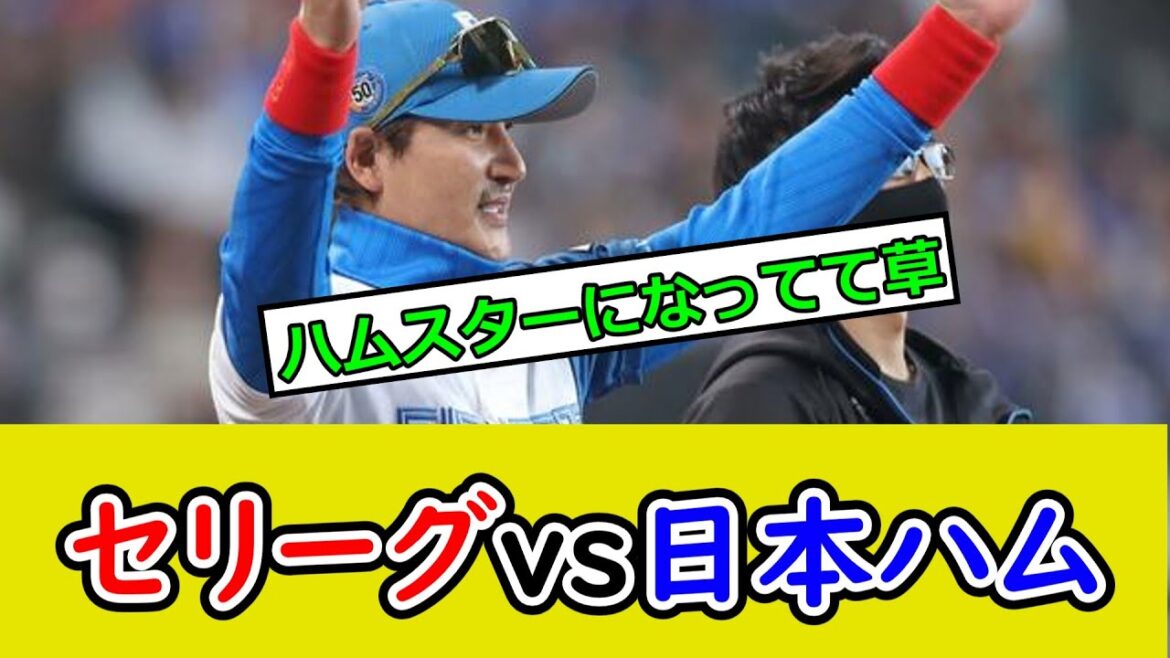 パ・リーグオールスター、日ハム勢が9部門でトップw