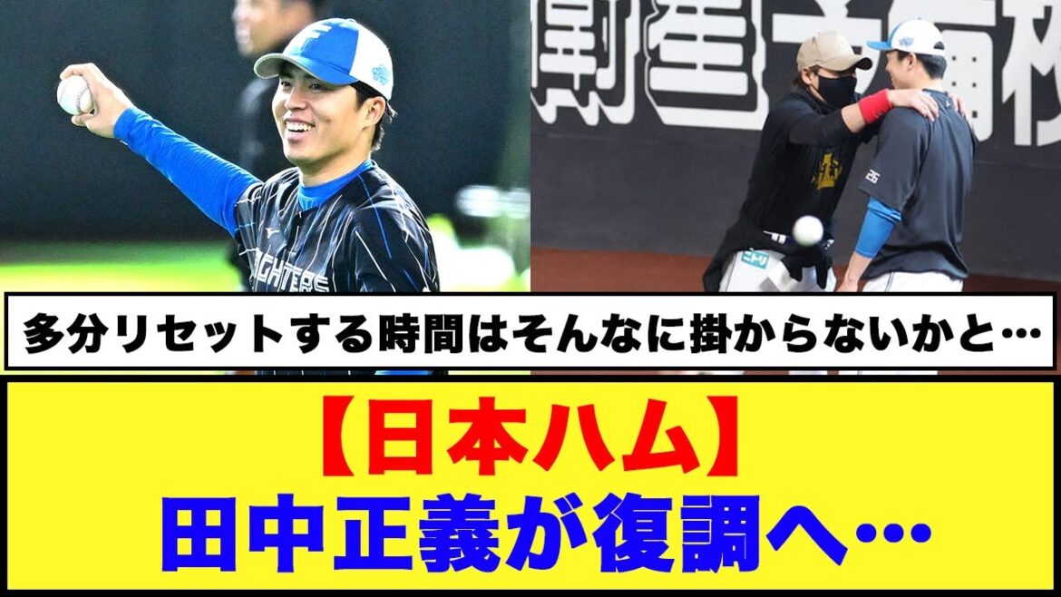 【日本ハム】田中正義が復調へ…【日本ハム反応集】【ネットの反応】#日本ハムファイターズ #新庄監督 #田中正義