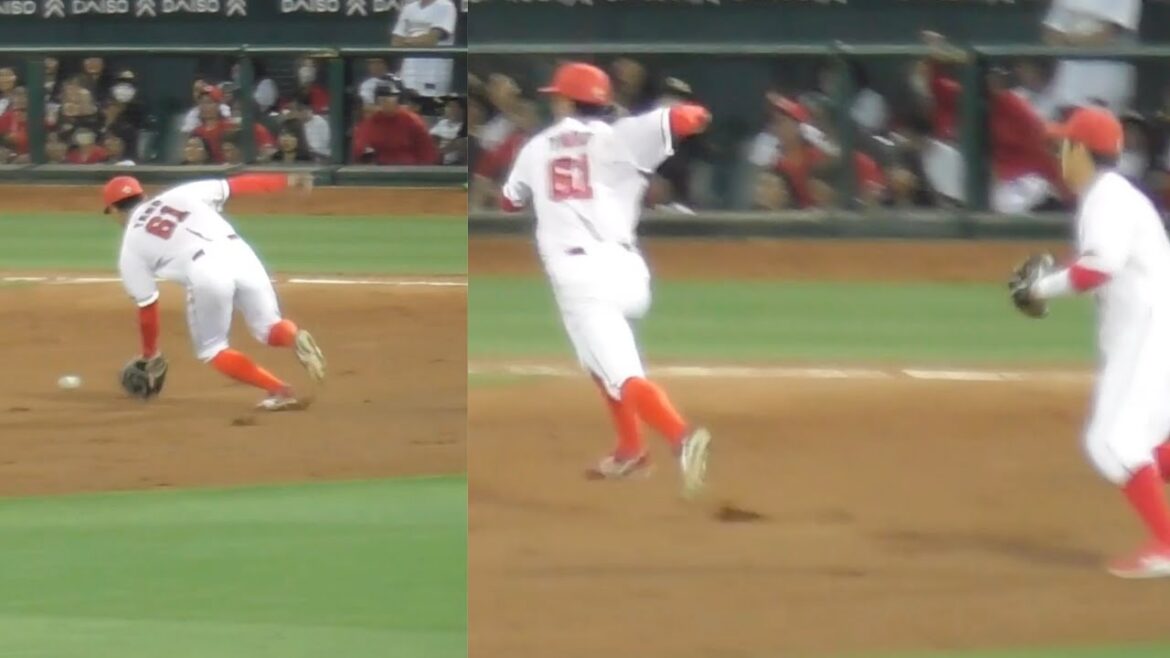 報ステで矢野雅哉が語る！「ショートに飛んだら終わりだと思わせる」と。今日もチームを救える守備職人がナイスプレー！2024年5月30日