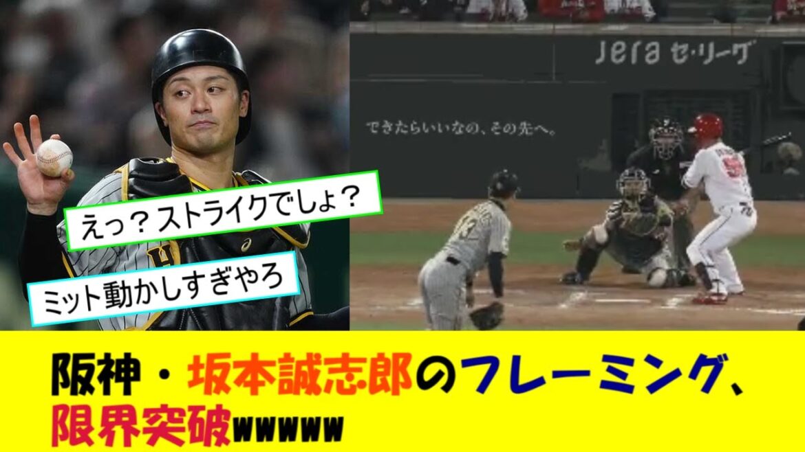 【賛否両論】阪神・坂本誠志郎のフレーミング、限界突破www